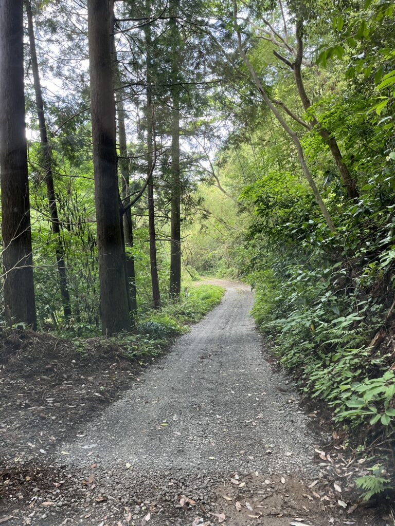 宮崎県　キャンプ場